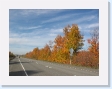 Autumn reaches the highway